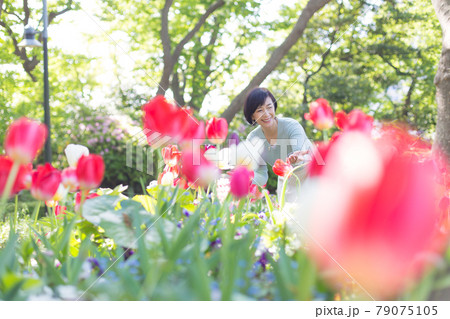 横浜を楽しむ ミドルシニア女性 ライフタイル 横浜を楽しむ ミドルシニア女性 ライフタイル 79075105