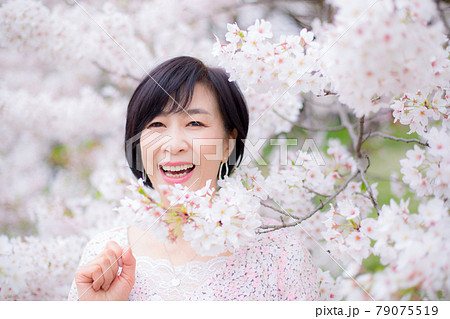 横浜の桜を楽しむ ミドルシニア女性 ライフタイル 横浜の桜を楽しむ ミドルシニア女性 ライフタイル 79075519