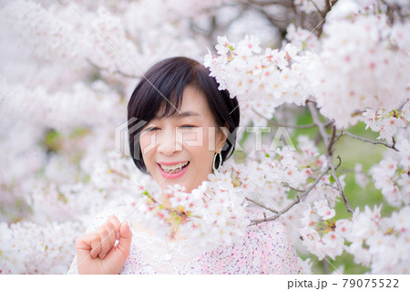 横浜の桜を楽しむ ミドルシニア女性 ライフタイル 横浜の桜を楽しむ ミドルシニア女性 ライフタイル 79075522