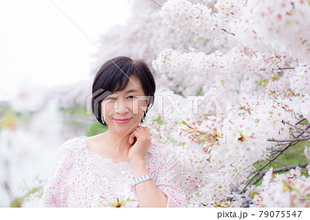 横浜の桜を楽しむ ミドルシニア女性 ライフタイル 横浜の桜を楽しむ ミドルシニア女性 ライフタイル 79075547