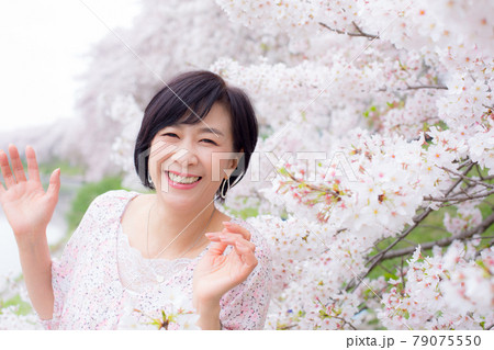 横浜の桜を楽しむ ミドルシニア女性  ライフタイル 79075550