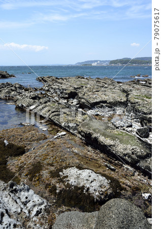 潮が引いた磯 潮が引いた磯 79075617