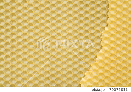 Natural beeswax texture. Honeycombs bee background. Wax base for honey bee rebuilding. Natural beeswax texture. Honeycombs bee background. Wax base for honey bee rebuilding. 79075851