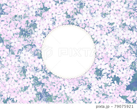 ピンクの花模様とパールの丸フレーム背景 79075921