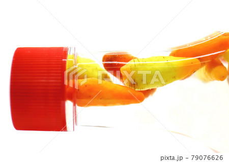 手作りコーレーグース 79076626