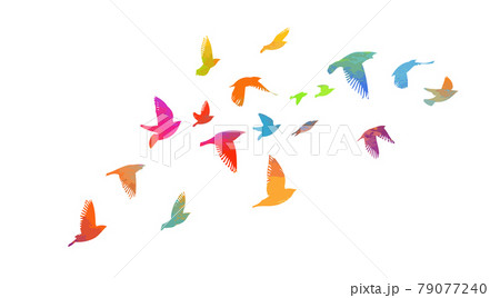 A flock of colorful birds. Vector illustration 79077240