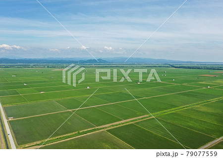 初夏の田園地帯　空撮 79077559