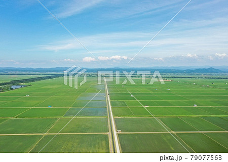 初夏の田園地帯 空撮 初夏の田園地帯 空撮 79077563