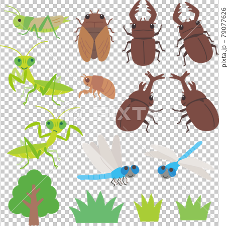 夏季昆蟲插圖集 夏季昆蟲插圖集 79077626
