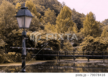 軽井沢　レマン湖 79078416