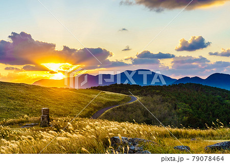 川内峠のススキと夕日の秋景色　【長崎県平戸市】 79078464