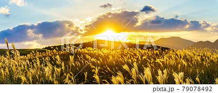 川内峠のススキと夕日の秋景色　パノラマ　【長崎県平戸市】 79078492