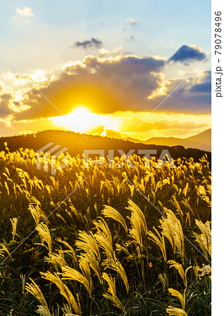 川内峠のススキと夕日の秋景色 【長崎県平戸市】 川内峠のススキと夕日の秋景色 【長崎県平戸市】 79078496