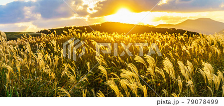 川内峠のススキと夕日の秋景色　パノラマ　【長崎県平戸市】 79078499