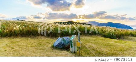 川内峠のススキと夕日の秋景色　パノラマ　【長崎県平戸市】 79078513