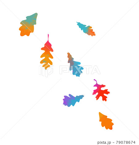 Falling multicolored oak leaves. Vector illustration Falling multicolored oak leaves. Vector illustration 79078674