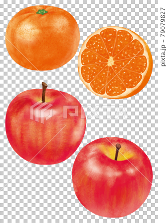 ミカンとリンゴのイラスト素材 [79079827] - PIXTA