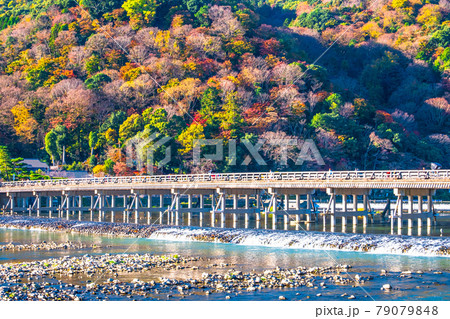 嵐山の紅葉と渡月橋 79079848