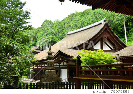 姨綺耶山 長命寺(三重塔付近から本堂を望む)　【滋賀県近江八幡市長命寺町】　 79079895