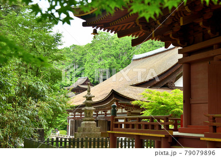 姨綺耶山 長命寺(三重塔付近から本堂を望む) 【滋賀県近江八幡市長命寺町】 姨綺耶山 長命寺(三重塔付近から本堂を望む) 【滋賀県近江八幡市長命寺町】 79079896