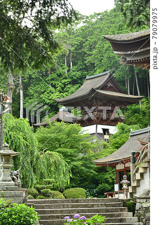 姨綺耶山 長命寺 鐘楼 【滋賀県近江八幡市長命寺町】 姨綺耶山 長命寺 鐘楼 【滋賀県近江八幡市長命寺町】 79079975