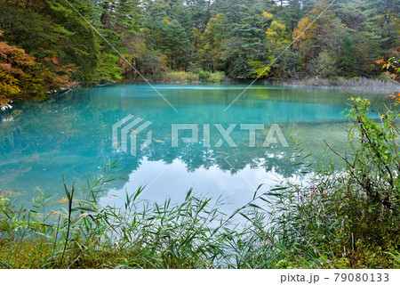 福島県・秋の五色沼(青沼) 79080133