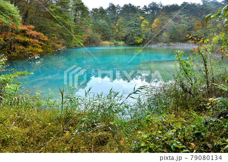 福島県・秋の五色沼(青沼) 79080134