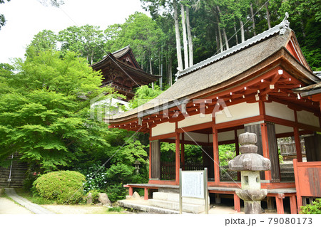 姨綺耶山 長命寺(三仏堂、奥は鐘楼)  【滋賀県近江八幡市長命寺町】　 79080173