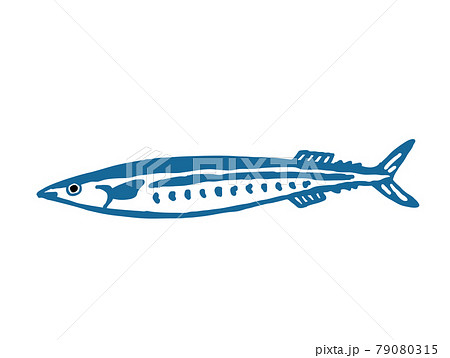 秋刀魚　レトロなベクターイラスト 79080315