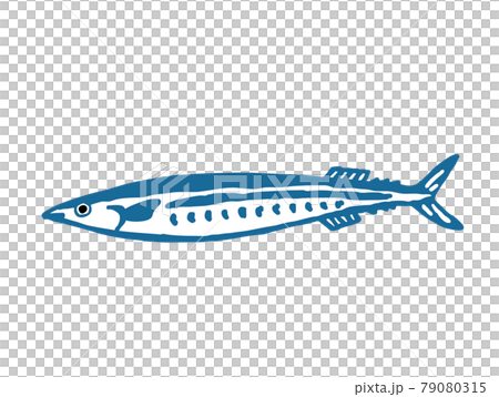 秋刀魚　レトロなベクターイラスト 79080315
