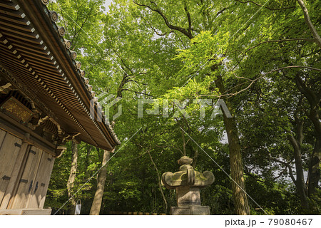 深大寺 新緑 浮岳山昌楽院 厄除元三大師 深大寺 新緑 浮岳山昌楽院 厄除元三大師 79080467
