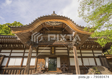 深大寺 新緑 浮岳山昌楽院 厄除元三大師 深大寺 新緑 浮岳山昌楽院 厄除元三大師 79080474