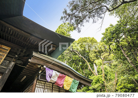 深大寺 新緑 浮岳山昌楽院 厄除元三大師 深大寺 新緑 浮岳山昌楽院 厄除元三大師 79080477