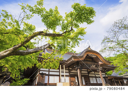 深大寺 新緑 浮岳山昌楽院 厄除元三大師 深大寺 新緑 浮岳山昌楽院 厄除元三大師 79080484