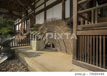 深大寺 新緑 浮岳山昌楽院 厄除元三大師 深大寺 新緑 浮岳山昌楽院 厄除元三大師 79080489
