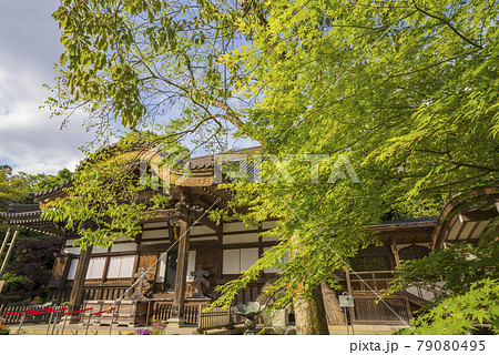 深大寺 新緑 浮岳山昌楽院 厄除元三大師 深大寺 新緑 浮岳山昌楽院 厄除元三大師 79080495