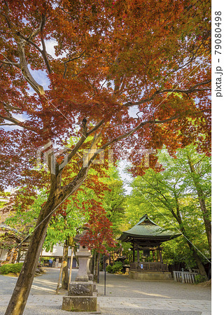 深大寺 新緑 浮岳山昌楽院 厄除元三大師 深大寺 新緑 浮岳山昌楽院 厄除元三大師 79080498