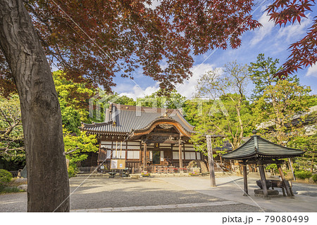深大寺 新緑 浮岳山昌楽院 厄除元三大師 深大寺 新緑 浮岳山昌楽院 厄除元三大師 79080499