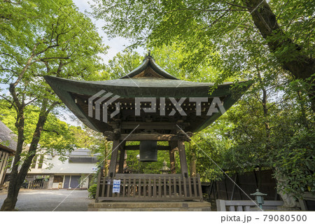 深大寺 新緑 浮岳山昌楽院 厄除元三大師 深大寺 新緑 浮岳山昌楽院 厄除元三大師 79080500