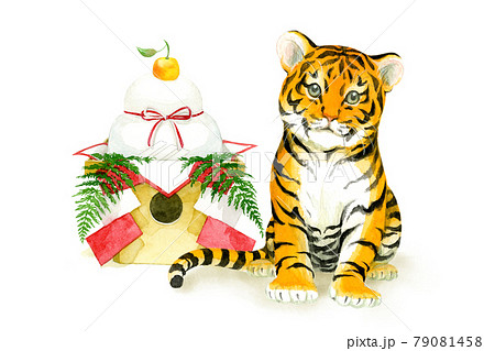 Kagami Mochi And Baby Tiger Stock Illustration