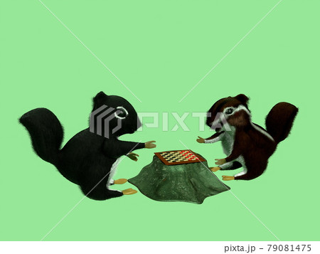 ゲームをするリスたち 79081475