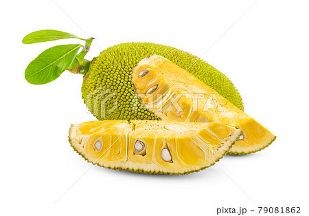 jack fruits on white background jack fruits on white background 79081862
