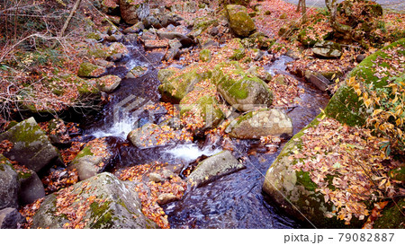 岐阜の宇津江四十八滝と紅葉 岐阜の宇津江四十八滝と紅葉 79082887