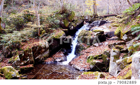 岐阜の宇津江四十八滝と紅葉 岐阜の宇津江四十八滝と紅葉 79082889