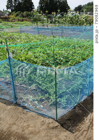 動物侵入防止ネット 動物侵入防止ネット 79082969