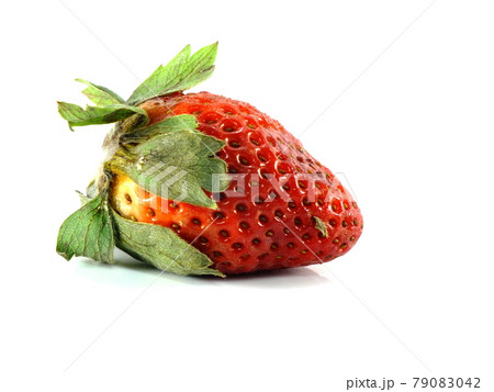 rotten strawberries on white background 79083042