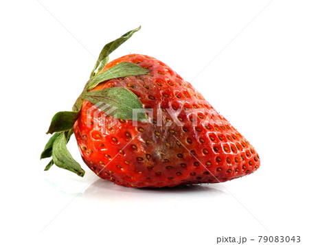 rotten strawberries on white background 79083043