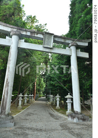 苗村神社　東本殿　鳥居　【滋賀県蒲生郡竜王町】 79083074