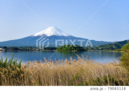 初夏の富士山 河口湖 初夏の富士山 河口湖 79083118