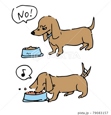 手描きダックスフンド ご飯を食べるのイラスト素材